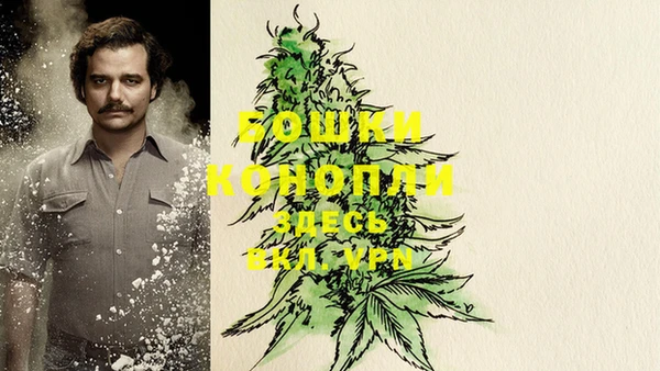бошки Беломорск