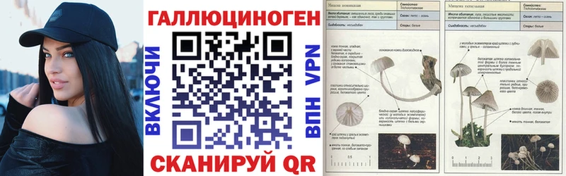 MEGA ТОР  Курильск  Псилоцибиновые грибы мухоморы 